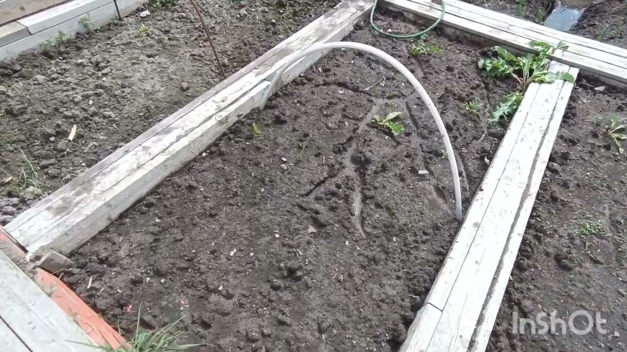 زراعة🚜 الخظراوات 🍓في فنلندا 🇫🇮.