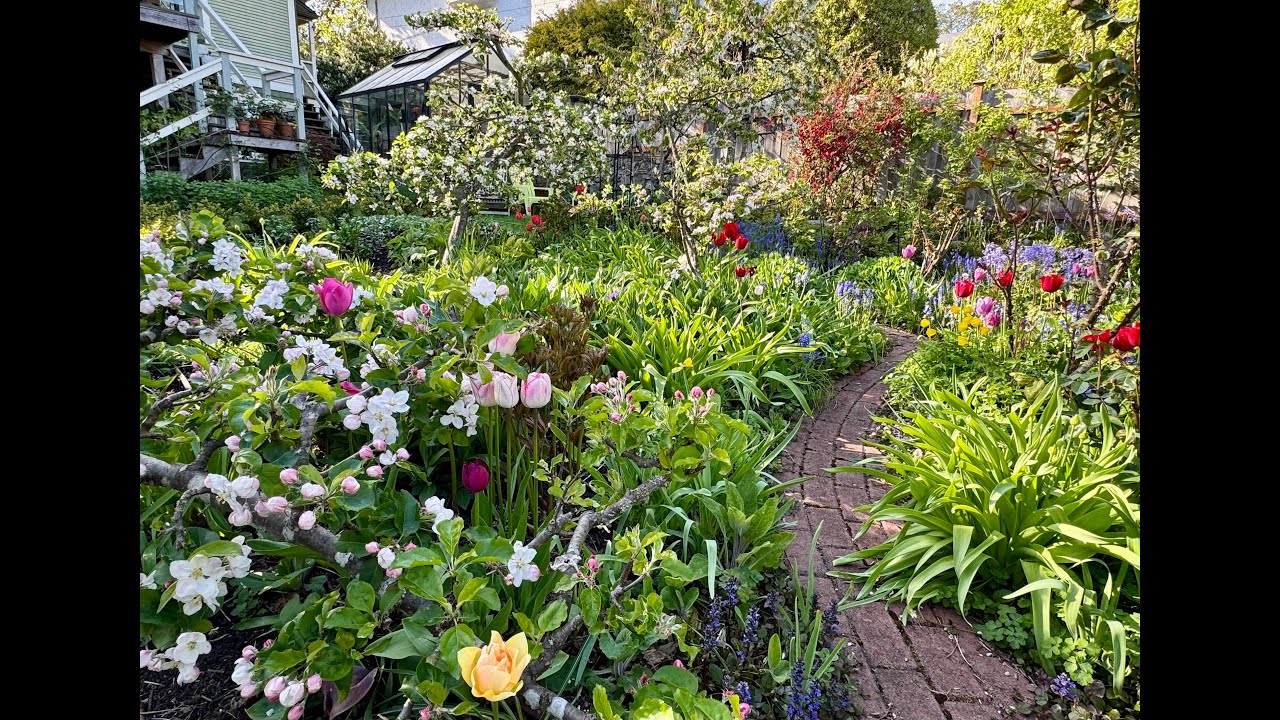 Late April in a Pacific Northwest Cottage Garden 🌱🌸 // Manor Garden