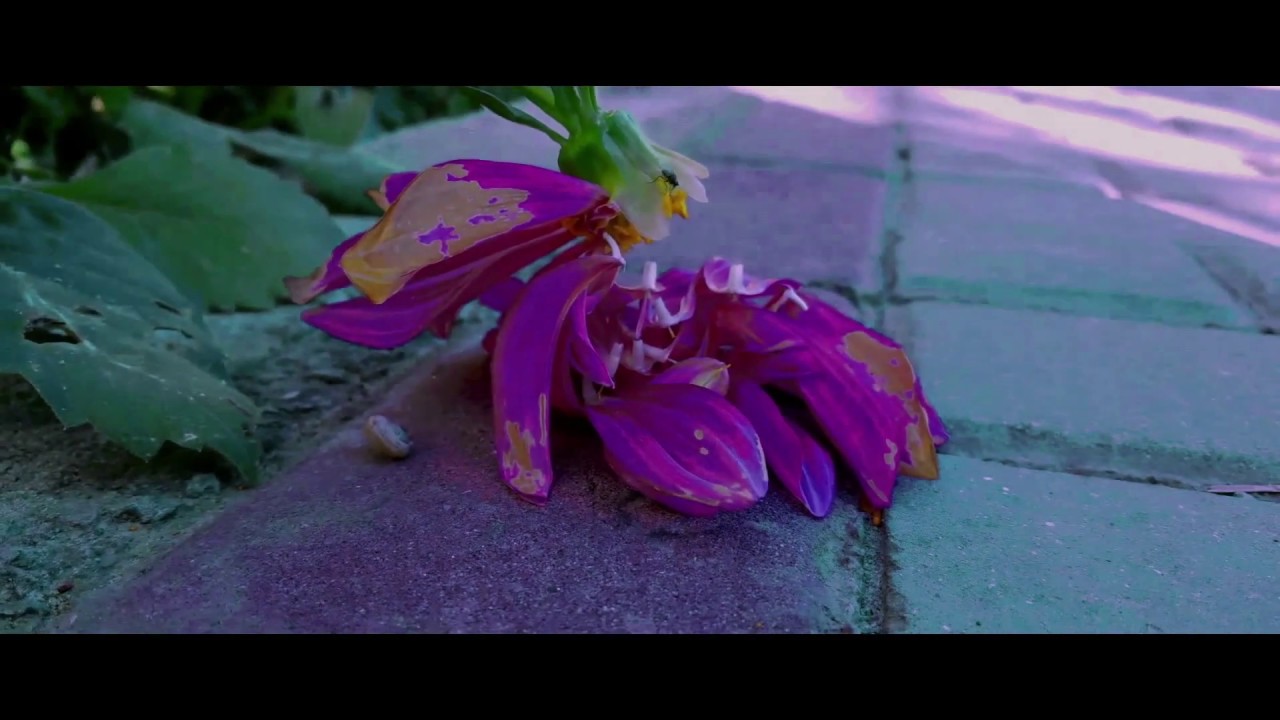 Rabwah in Lockdown, Chenab Nagar | Cinematic Video Story | Covid-19 | This Too Shall Pass | Corona |