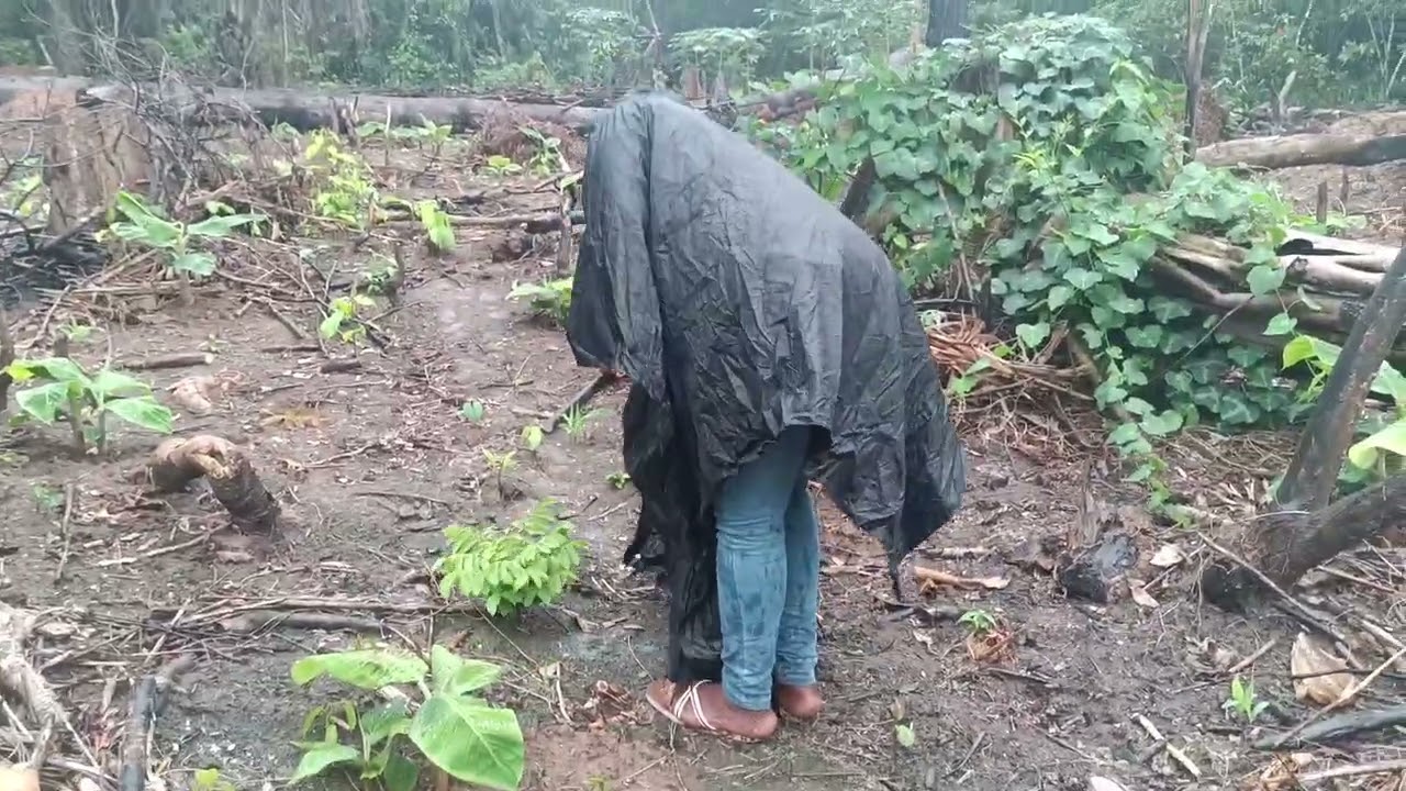 Projet de plantation à Bacon ( Akoupe) part 25