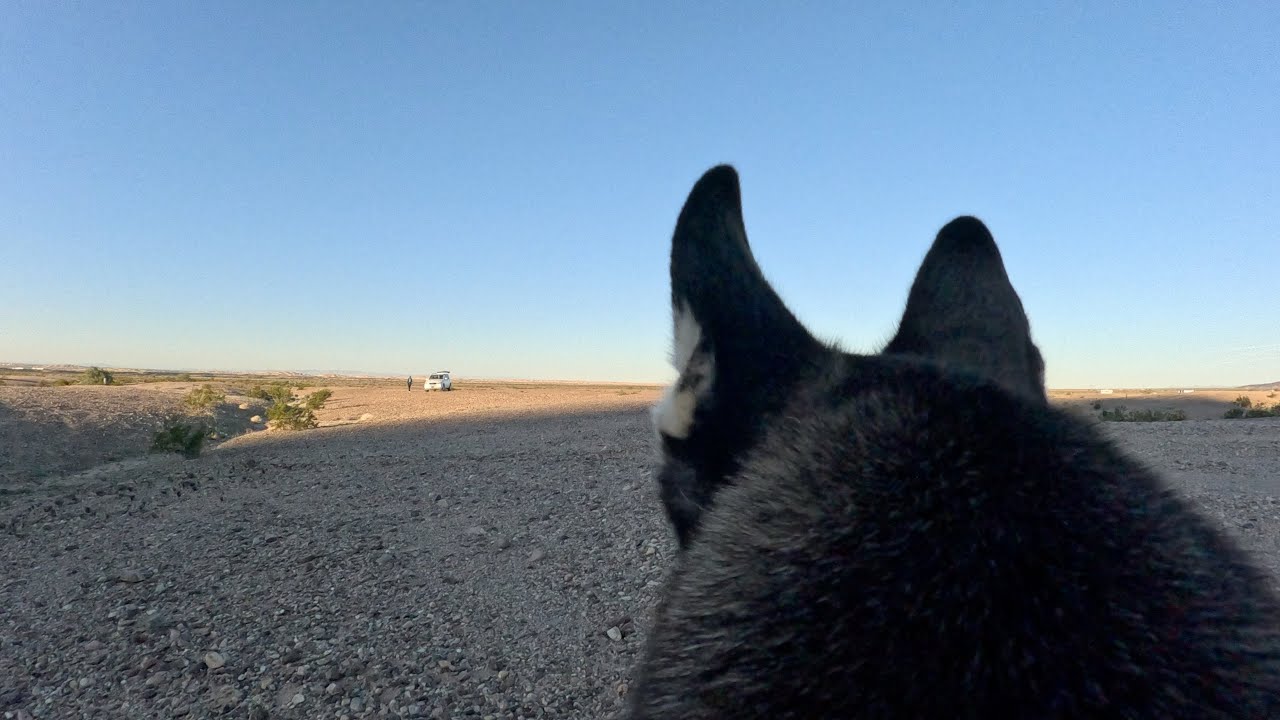 Luna Cam: Back to the playa  |  Pilot Knob