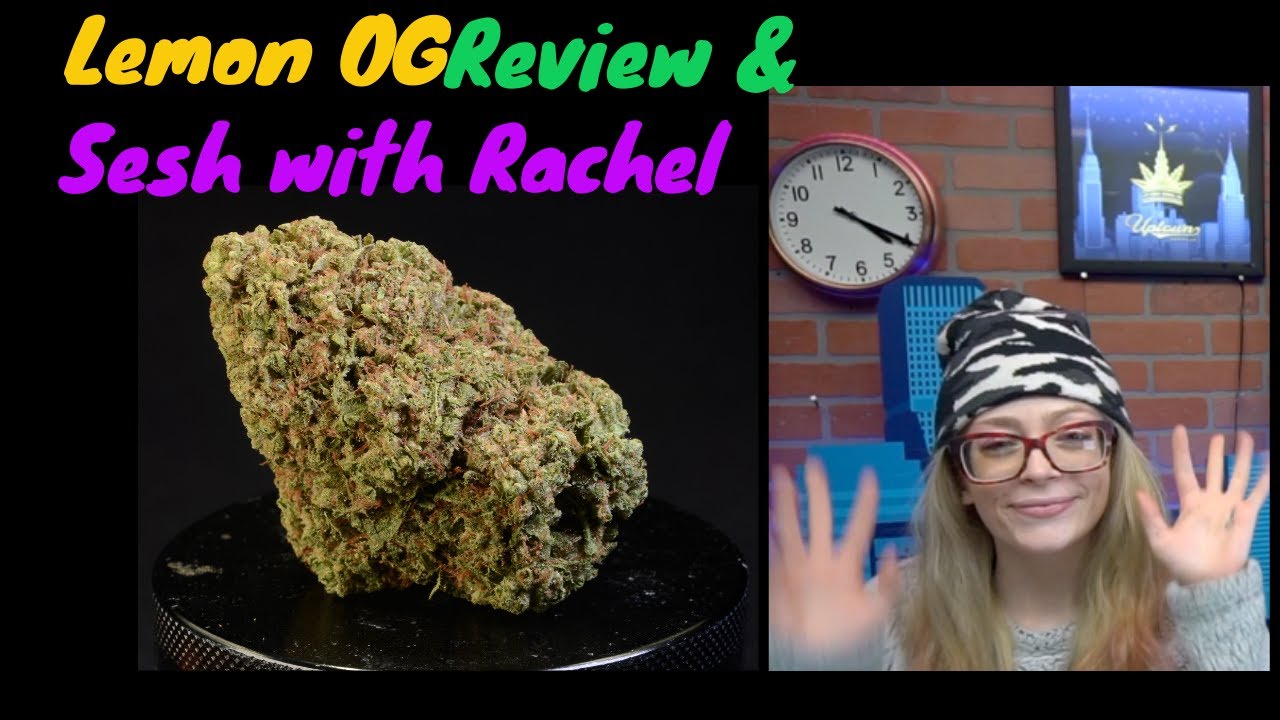Lemon OG Cannabis Strain Review with KingMidas420x