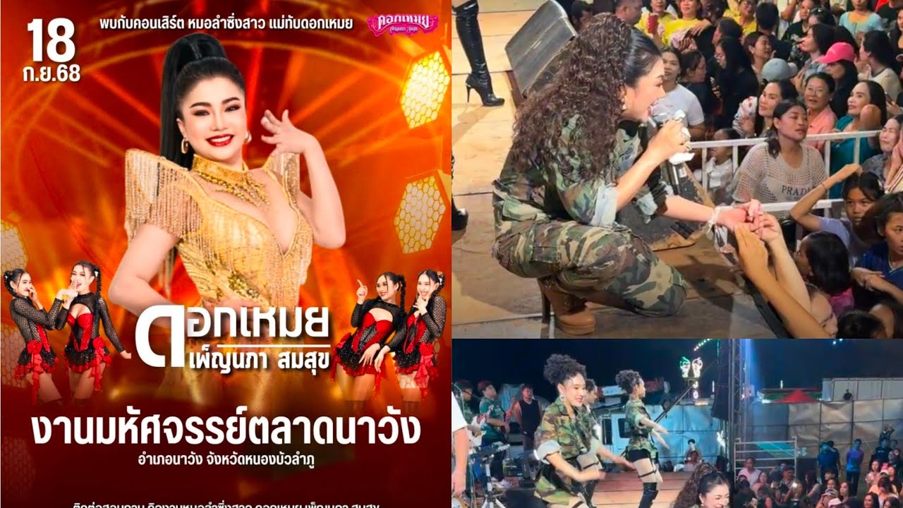ดอกเหมยเพ็ญนภา งานมหัศจรรย์ตลาดชาววัง  จังหวัดหนองบัวลำภู #แม่ทัพดอกเหมย #ดอกเหมยเพ็ญนภา #แสนสะท้าน 