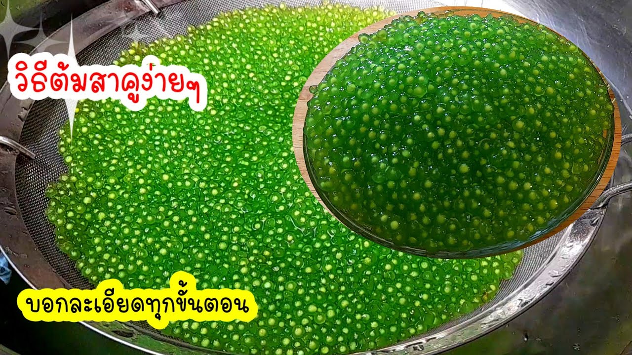 #วิธีต้มสาคูง่ายๆ เป็นเม็ดสวยไม่เละไม่อืด
