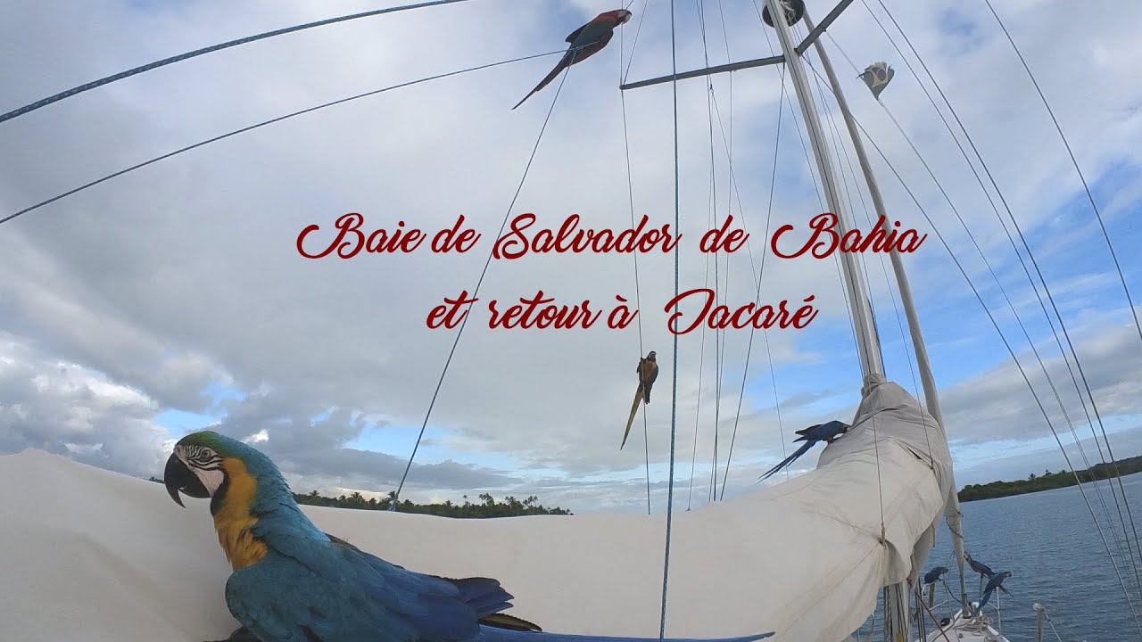 En voilier dans la baie de Salvador de Bahia au Brésil et retour vers Jacaré