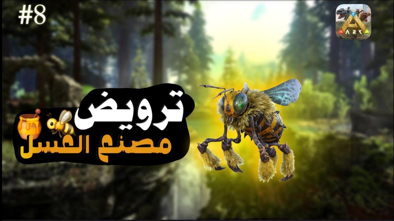 ترويض ملكة النحل  : الحلقة  الثامنة. 8🍯🐝