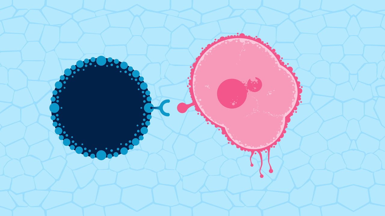 Smart Cell Therapies for Solid Cancers