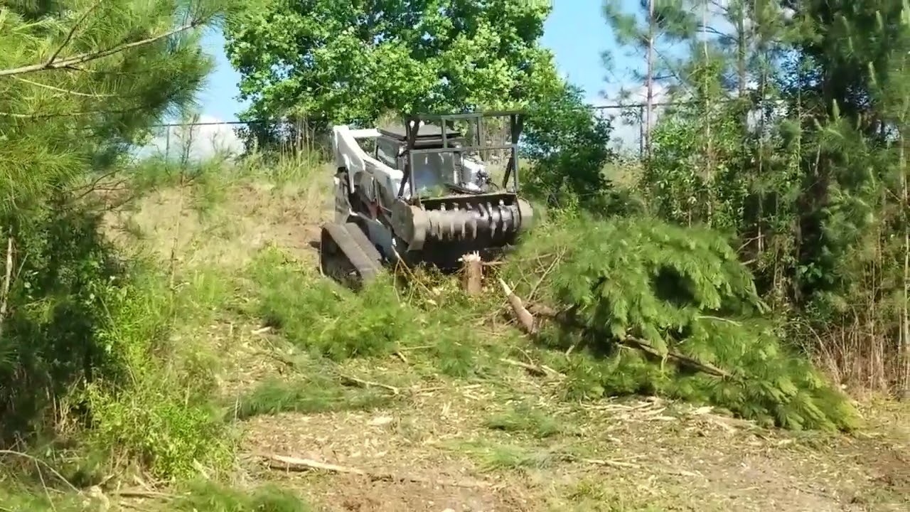 Desbastador florestal.