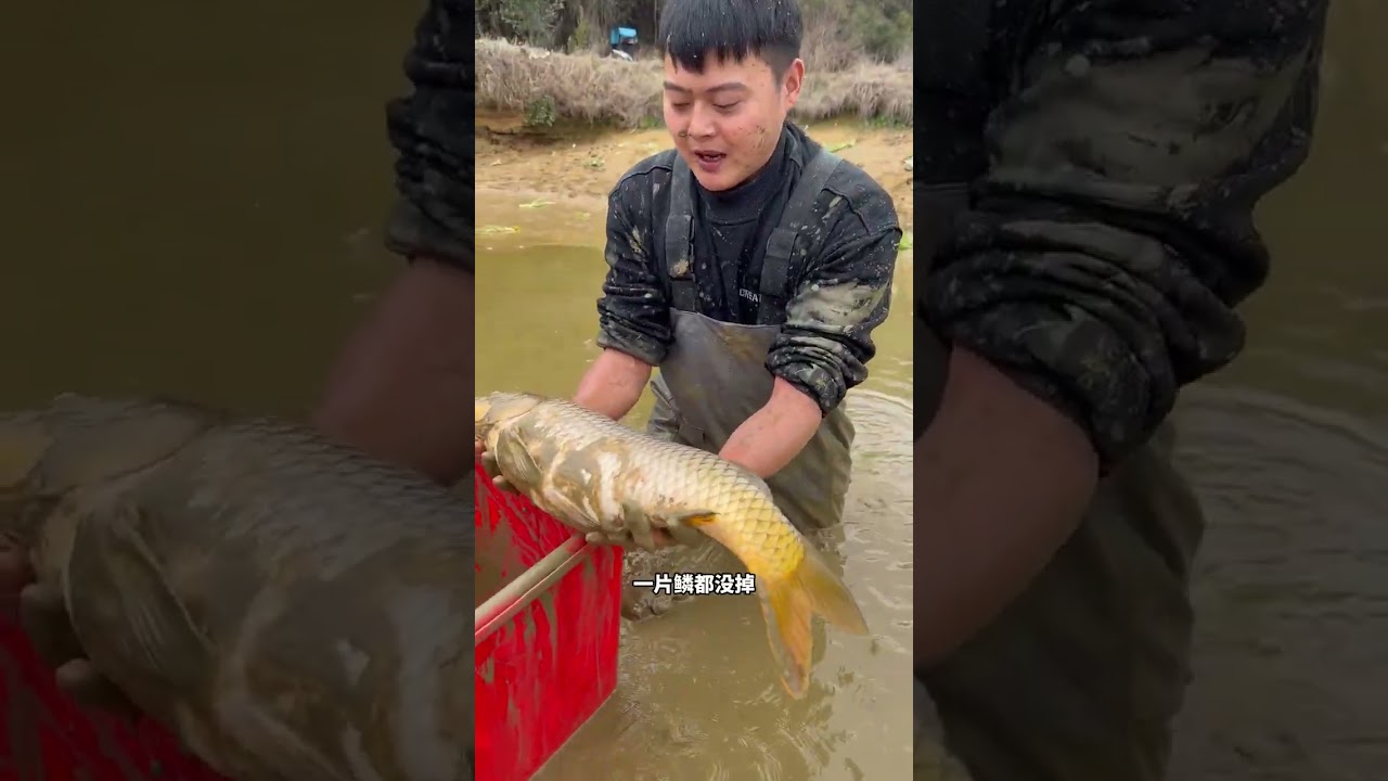 Unbelievable: 1,500 Fish Bags Found in Mountain Pond