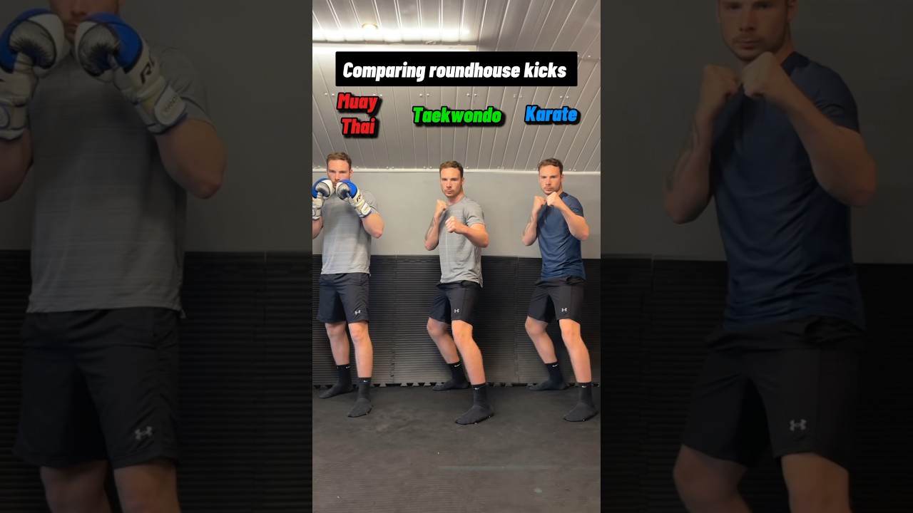 Which roundhouse kick do you prefer?