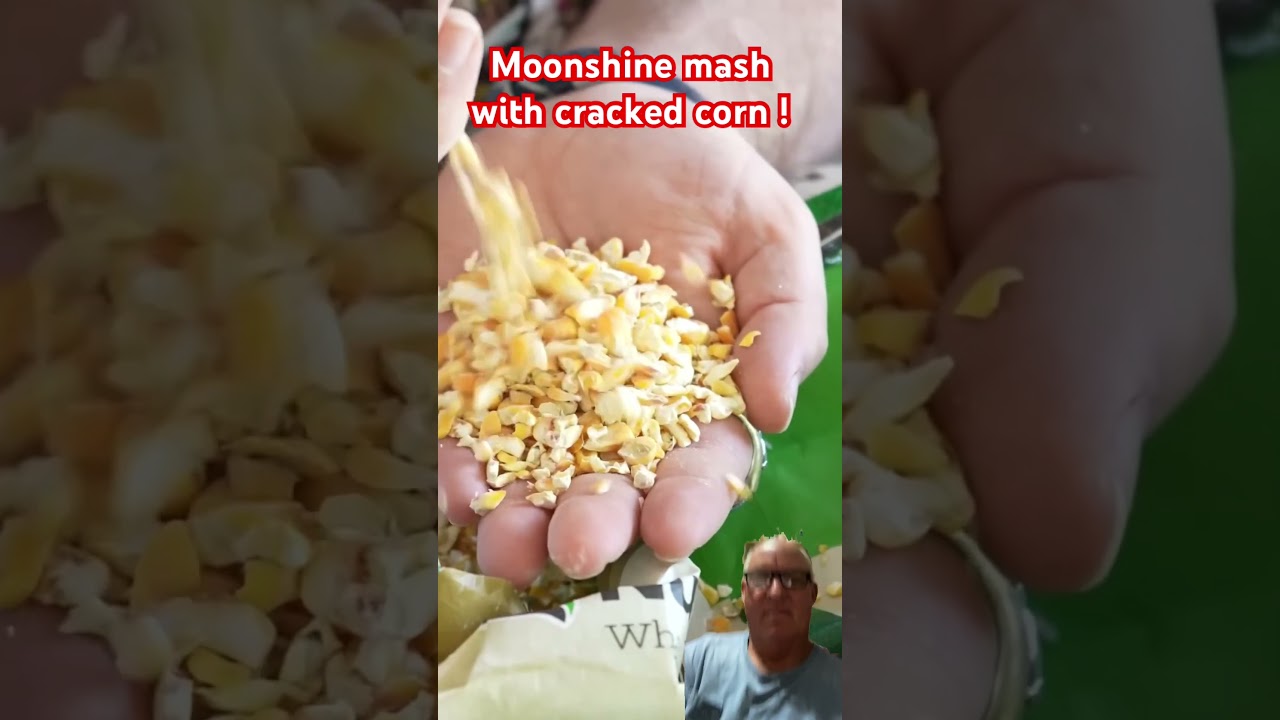 Making moonshine mash with cracked corn! #larrysbrusch #956 studio