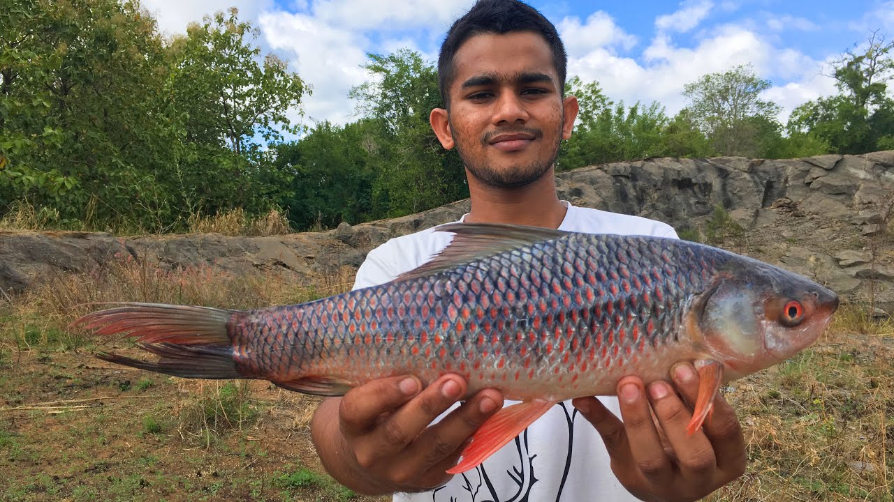 MRIGAL CARP FISH CURRY | COOKING A FISH CURRY AND HAVING A DELICIOUS DISH  #fish #curry #recipe