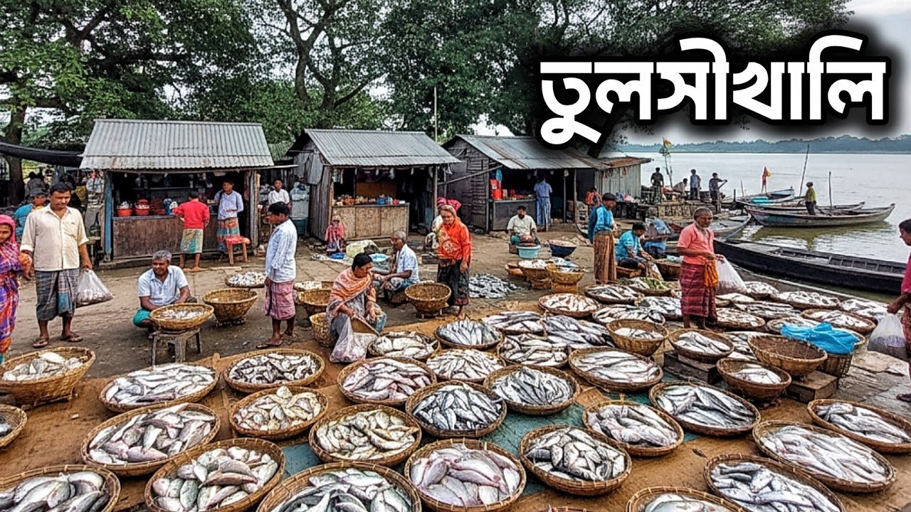 কমদামে দেশি মাছের উৎস!তুলসীখালি বাজার। দেশীয় কৈ, শিং,সোল সহ বিভিন্ন ধরনের মাছ। Fishmarket blog post