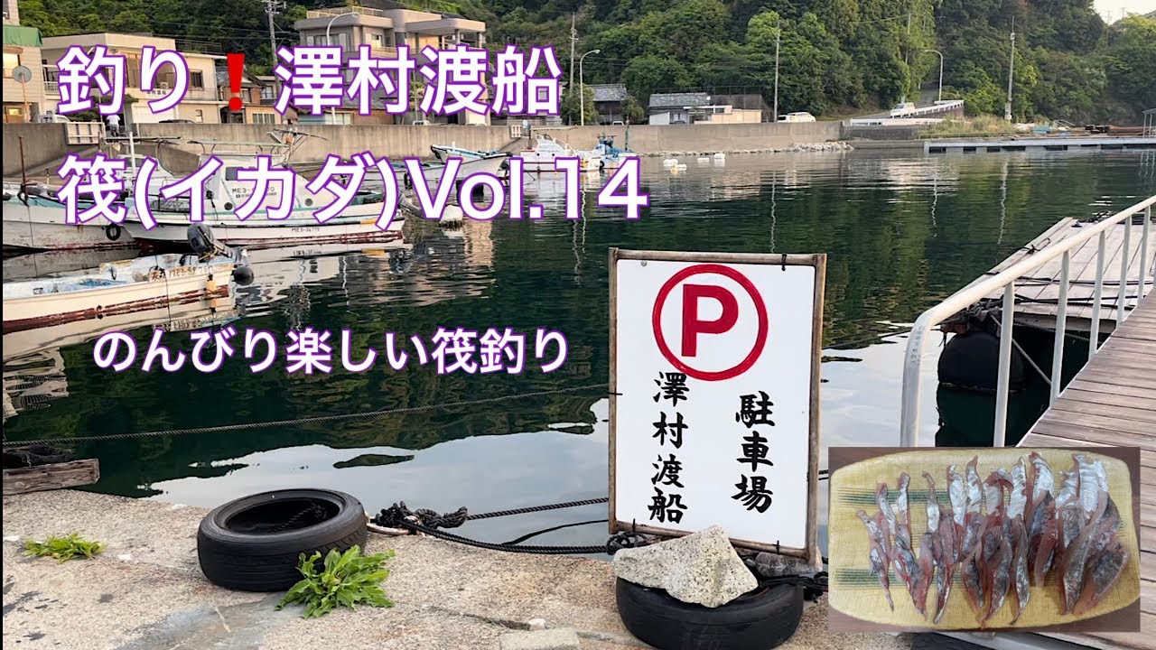 【澤村渡船】釣り❗️筏(イカダ)Vol.14 のんびり楽しい筏釣り