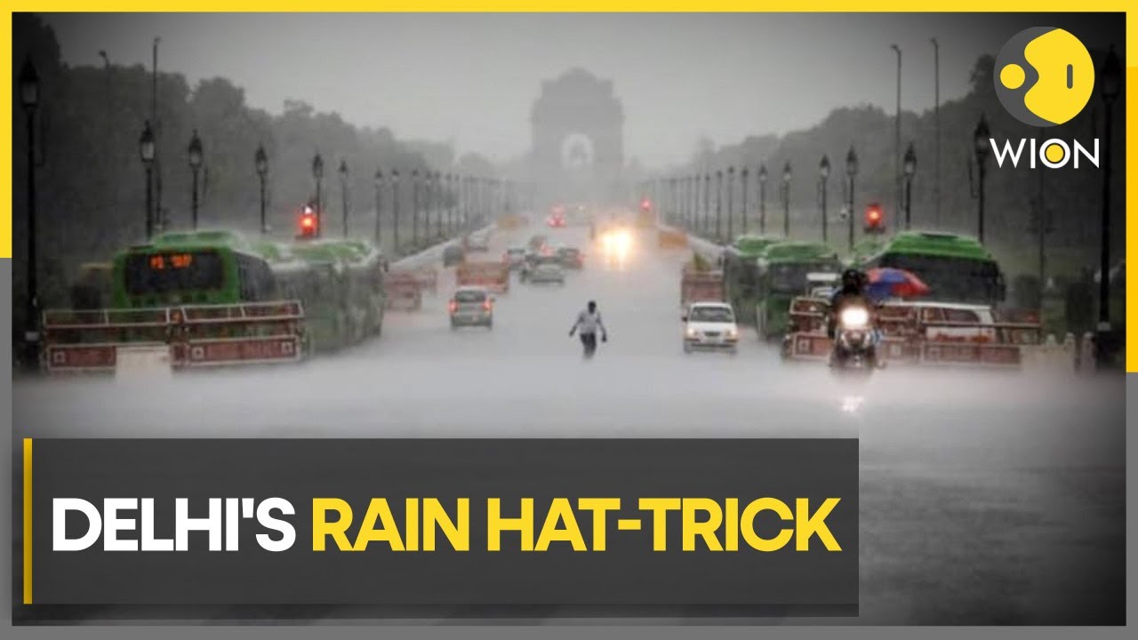 India: Delhi-NCR engulfed in untimely fog, IMD issues warning for more rainfall in coming days