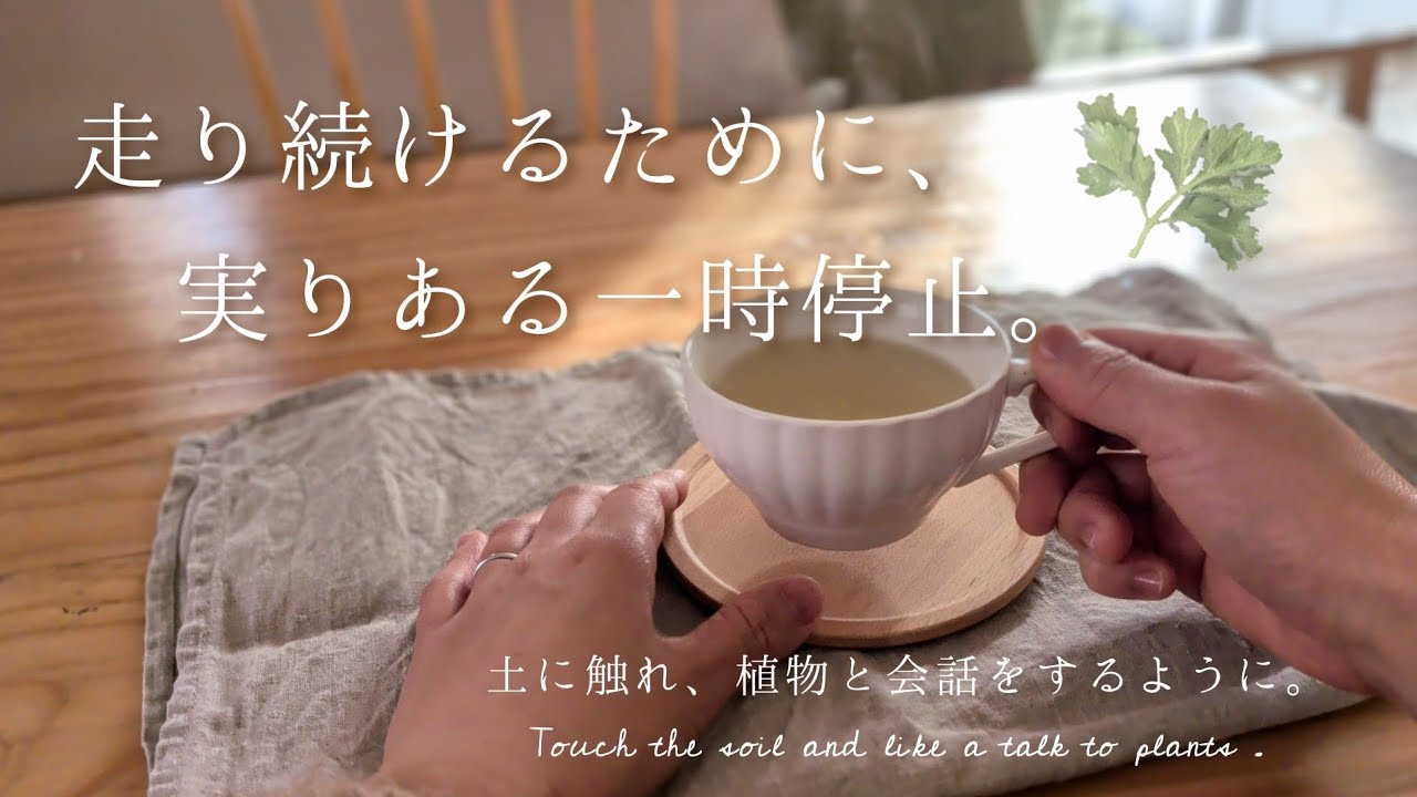 vlog . 偏頭痛をやわらげる、フィーバーフューのハーブティー │ 休んでも人生は駄目にならないよ。