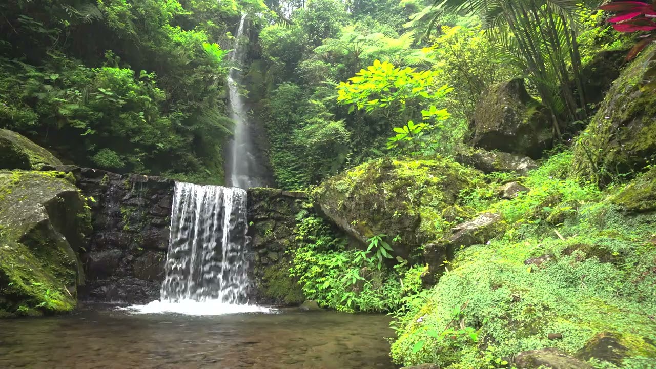 Relaxation and mental wellness with natural river flow and white noise