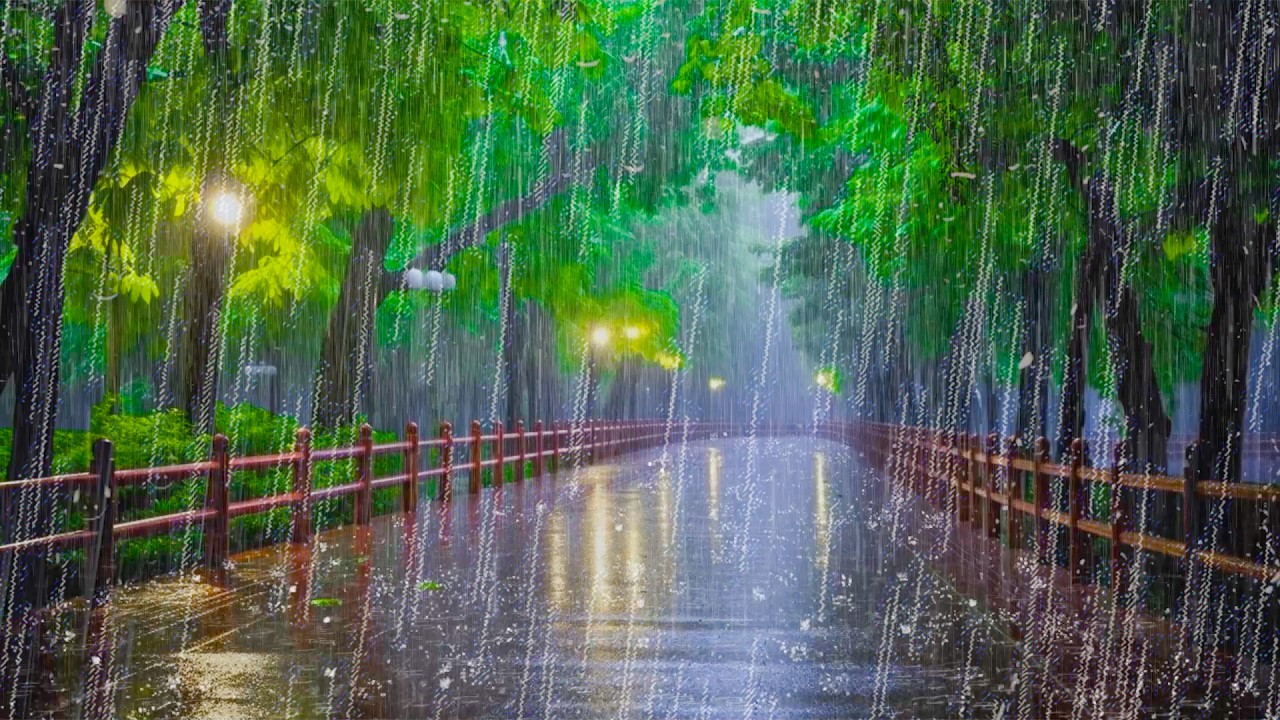 99% Eliminare L'insonnia con Pioggia leggera e Tuoni lontani sulla Strada Vuota di notte