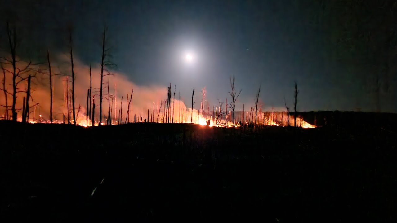 Waldbrand Jüterbog 2023
