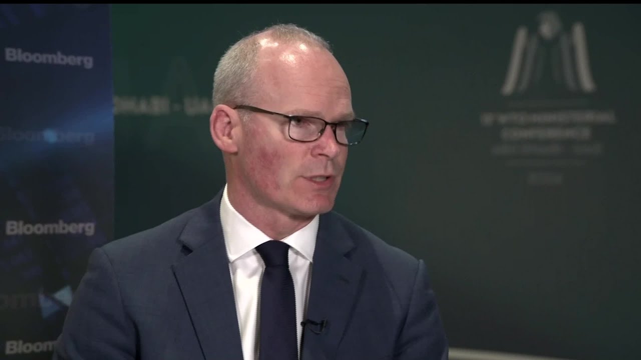 E-commerce Moratorium Needs to Be Extended: Irish Trade Minister