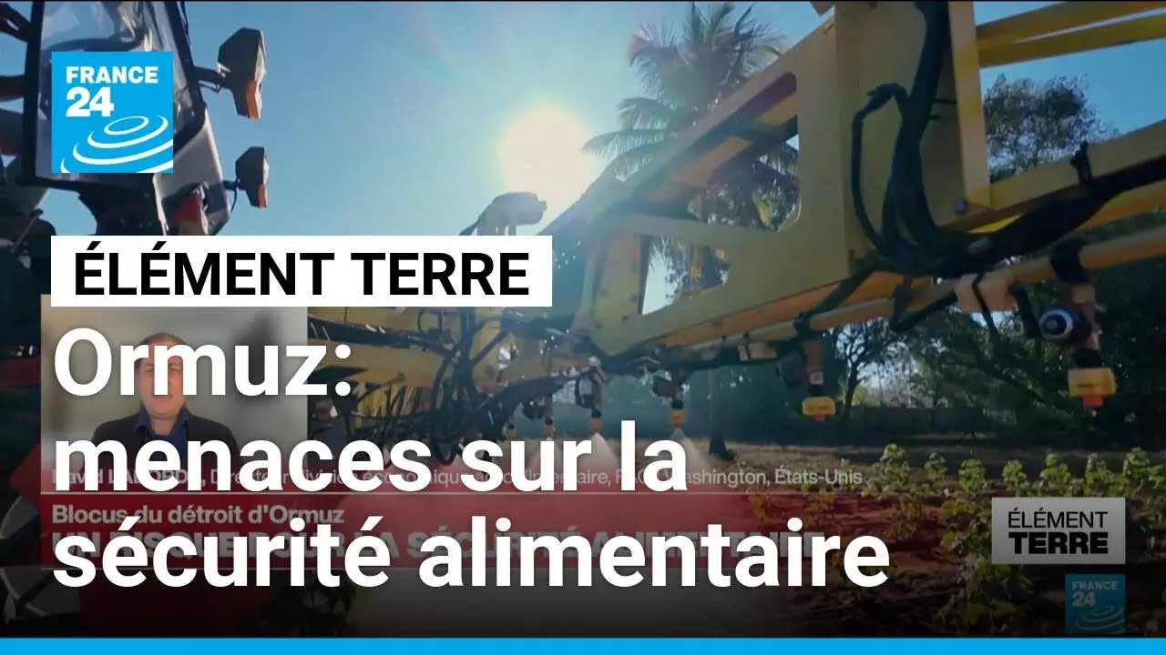 Le blocus du d&eacute;troit d'Ormuz menace la s&eacute;curit&eacute; alimentaire mondiale (Interview) &bull; FRANCE 24