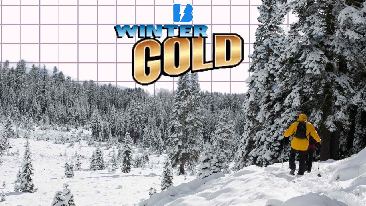 POLYGON-PUSHING POWERHOUSE | Winter Gold - Blast Processing