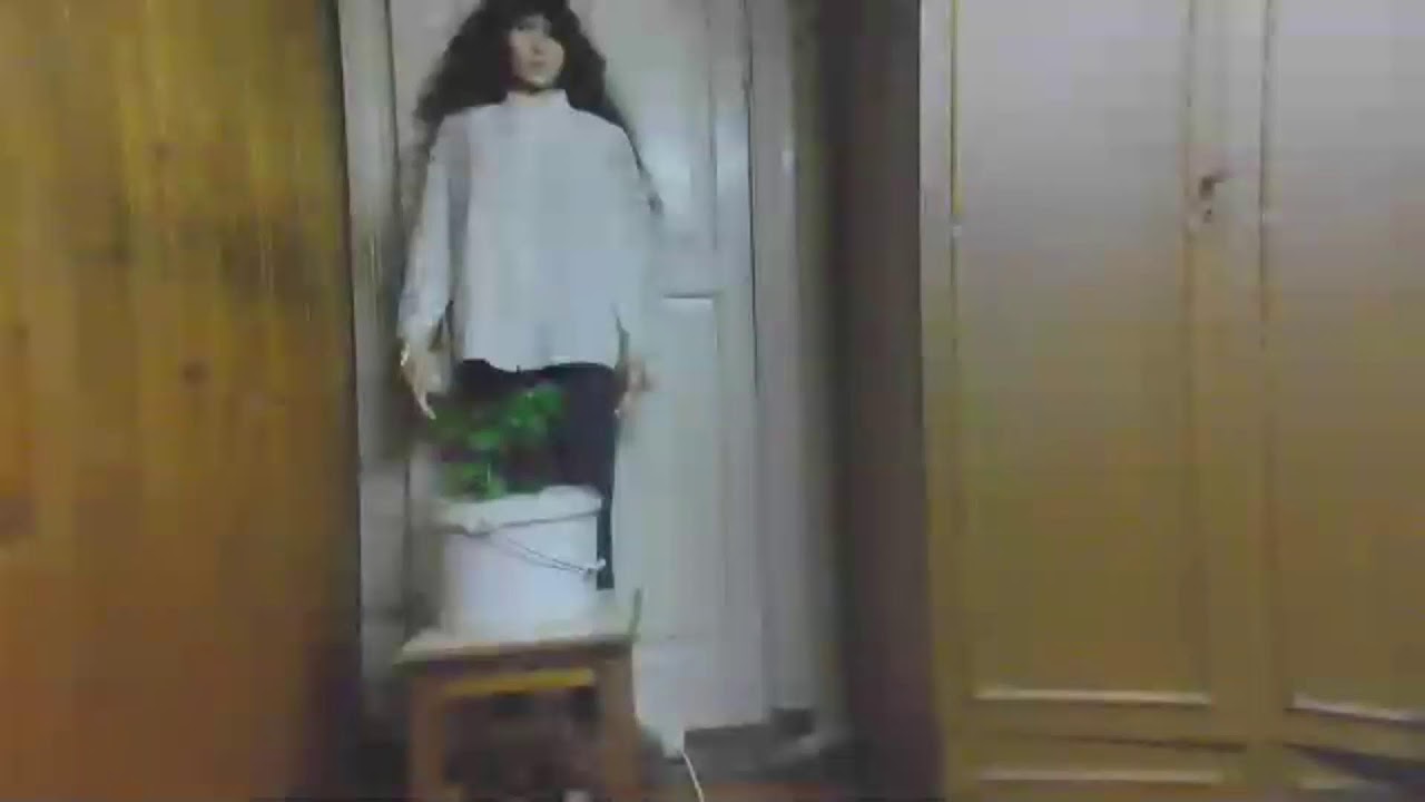 доброго денечка