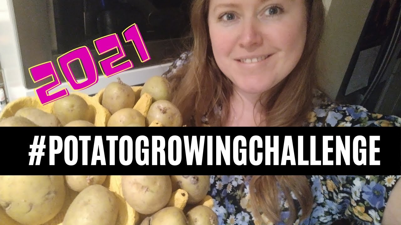 #potatogrowingchallenge2021 | Erica's little welsh garden