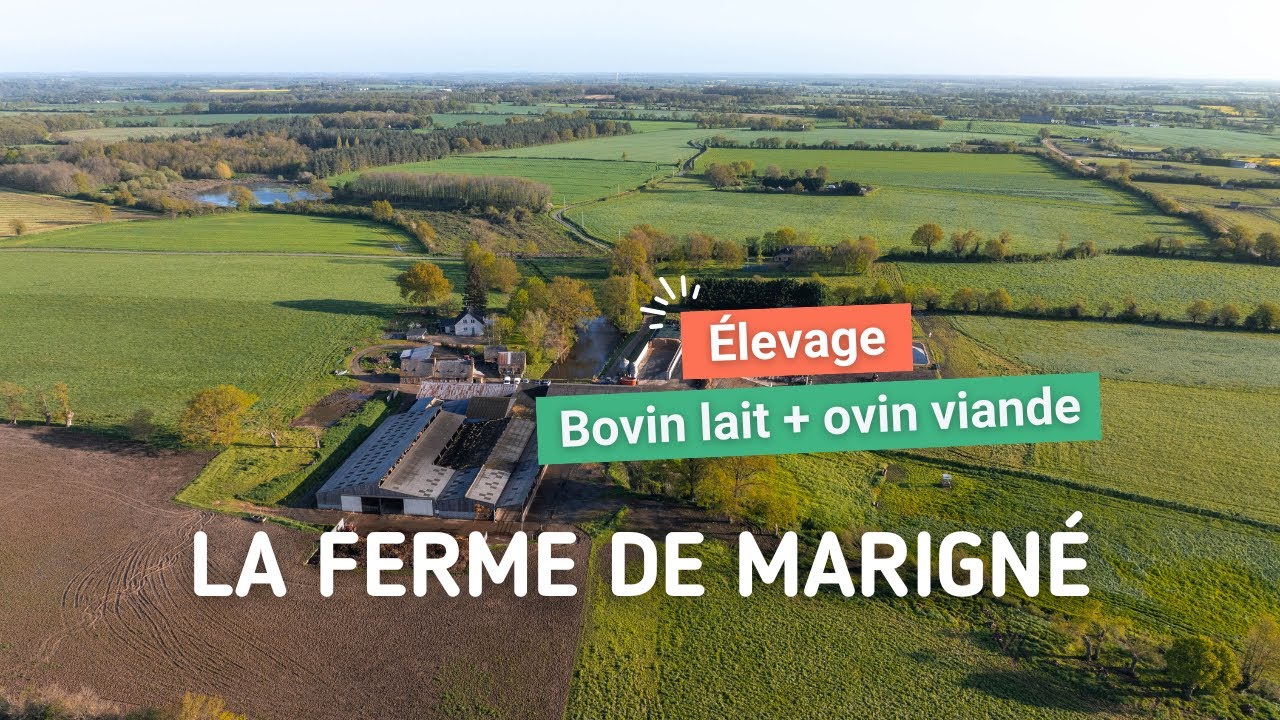 Bienvenue au GAEC de La Bouillère à Marigné dans le Maine-et-Loire