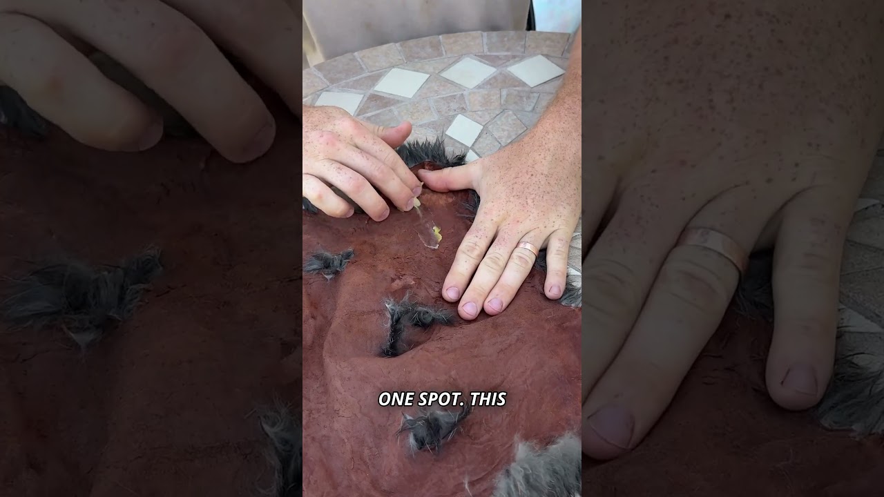 How to bark tan rabbit hides | part 3 #bushcraft #outdoors #survival #hunting #camping #leather