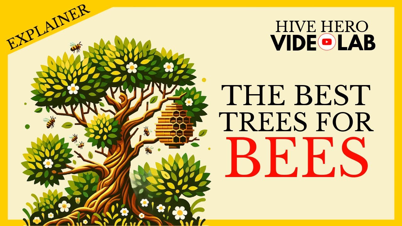 Best Trees For Bees (And Beekeepers)