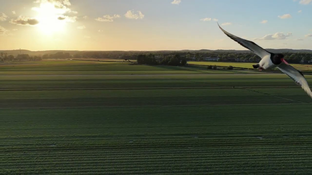 DJI Mavic 4 Pro 4K RAW footage - Bergen, Netherlands