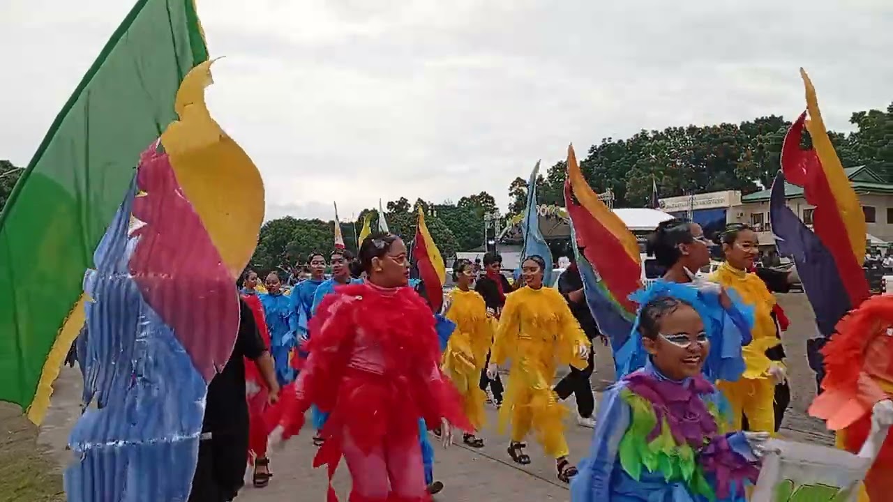 Pinyahan festival opening parade #openingsalvo #pinyahanfestival