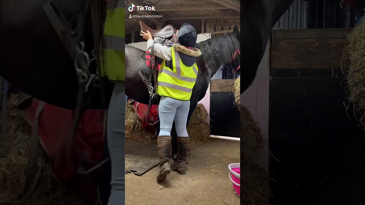 Little hack out with my horse