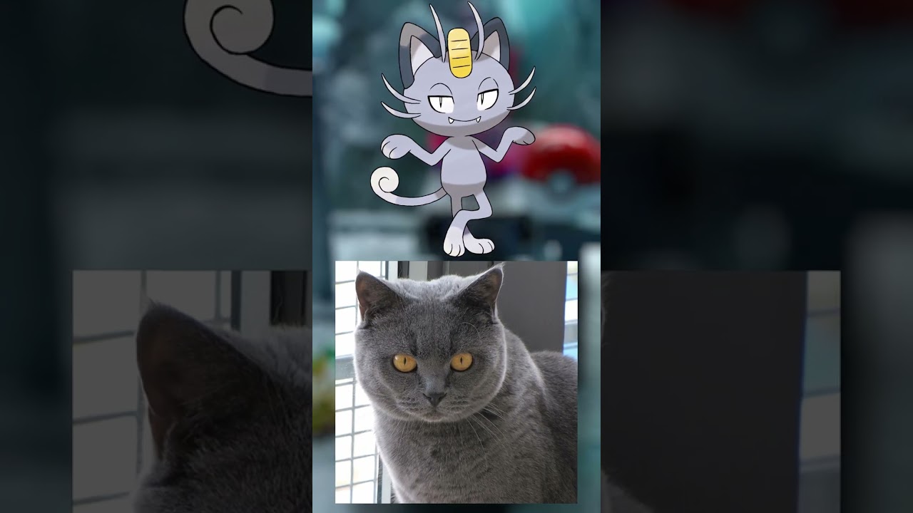 WTF is Meowth?! | EVERY Pok&eacute;mon Design Explained