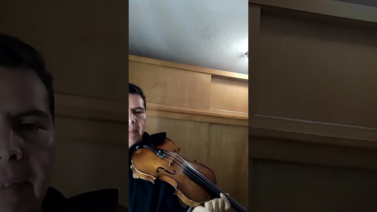 morenita mía, violín GARIBALDI