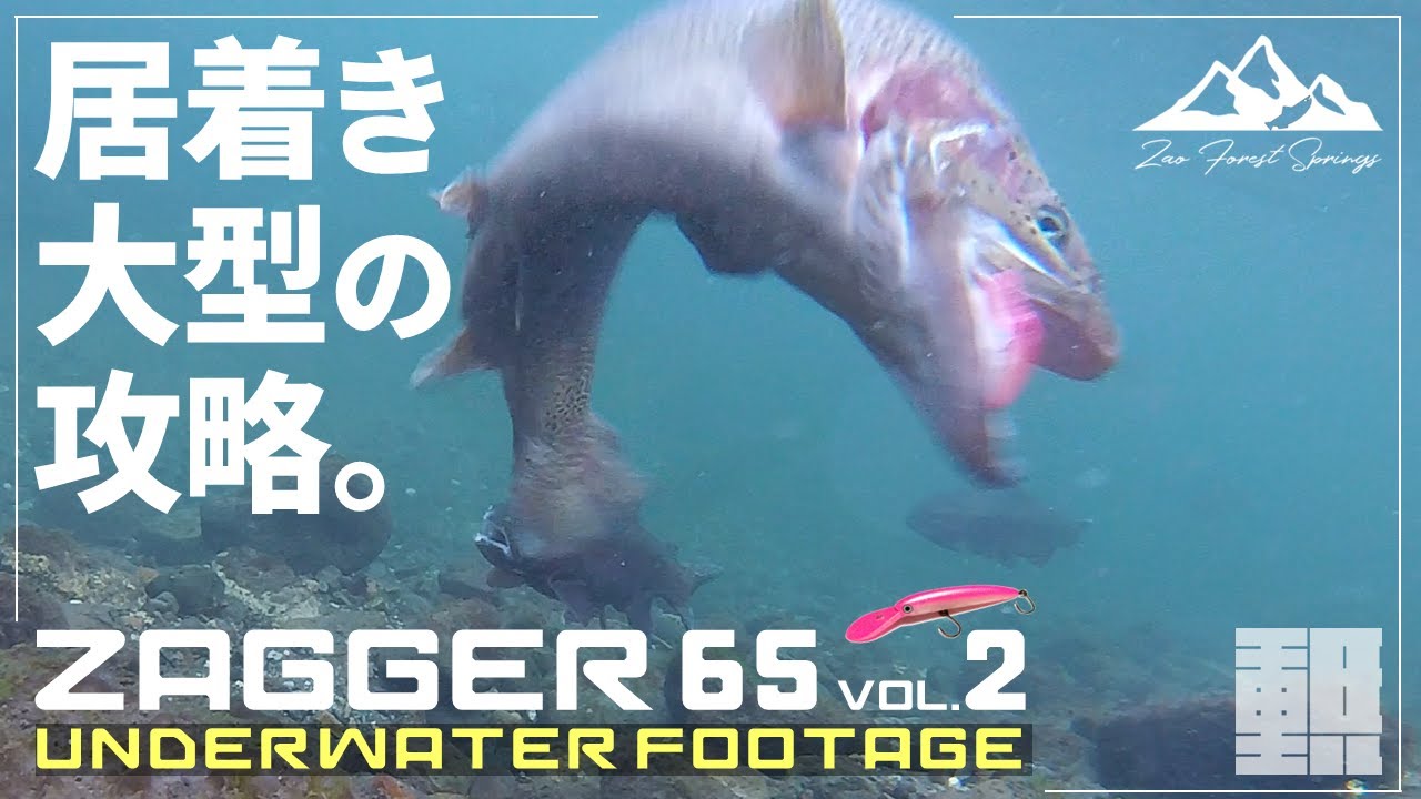 エリアミノーイング -水中映像- ザッガー65で大型虹鱒を攻略せよ！【蔵王フォレストスプリングス】【Area minnowing footage】