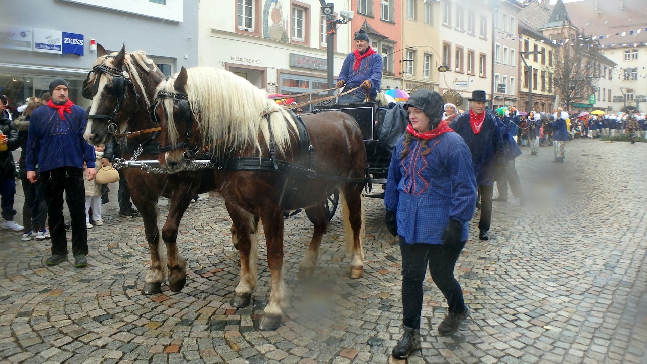 VILLINGEN  Großer Fasnetumzug 17.02.2026 (Teil 5)