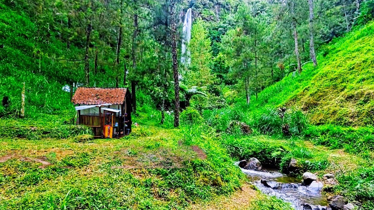 Menyingkap Keindahan Kampung Gunung Yang Tersembunyi Di Hutan Gunung Lawu‼️