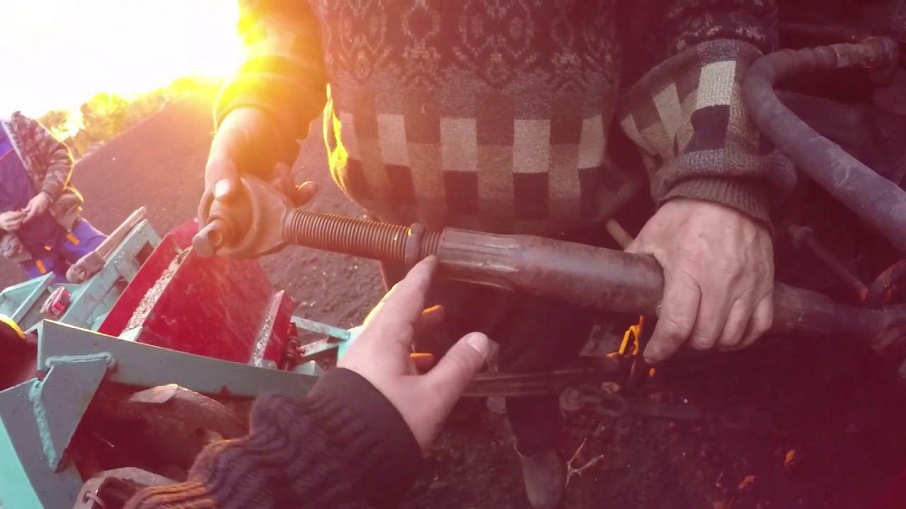 Бульбочки чеснока.  Сажаем в поле сеялкой и МТЗ.