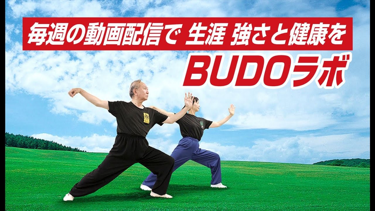 自宅で強くなる！健康になる！BUDOラボ ブドーラボ 太極拳 武術 八極拳 通信教育 通信講座 喧嘩術 システマ ムエタイ 護身術
