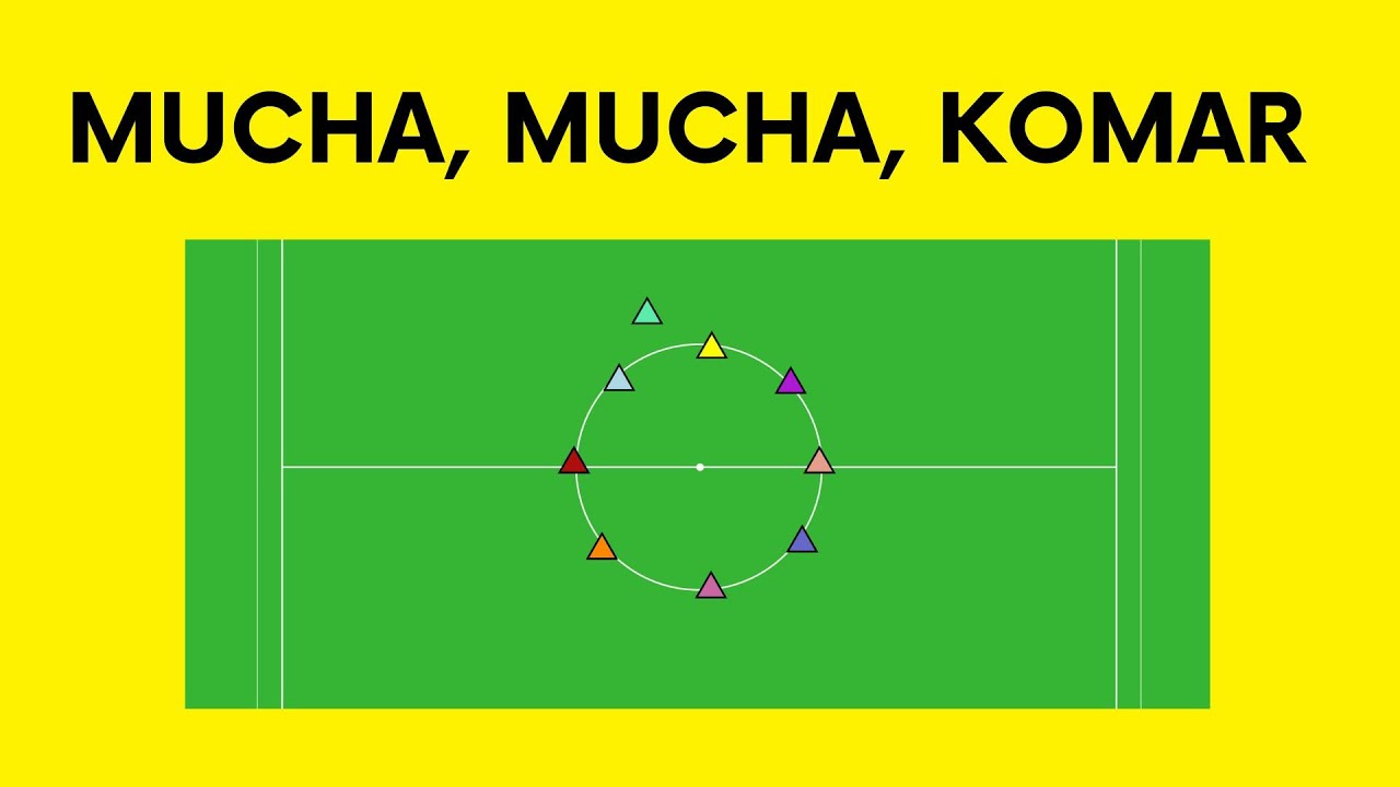Mucha, mucha, komar - zabawa na WF