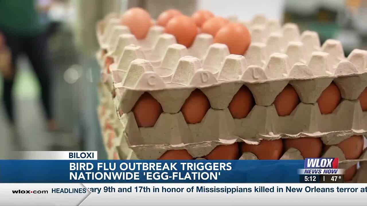 Bird flu outbreak triggers nationwide &lsquo;egg-flation&rsquo;, shortages affecting local businesses