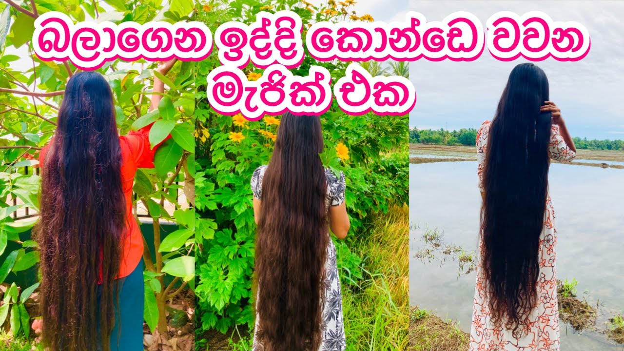 මගේ කොන්ඩය දිගට වවපු මැජික් එක👩‍🦰🍈🍯 Natural Hair Mask 💁‍♀️ Hair Growth Tips 🧖‍♀️ Day Vlog || MyDiary
