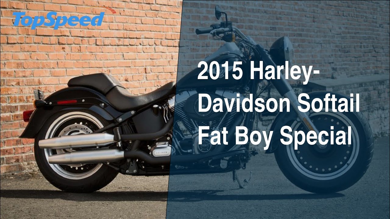 2015 Harley-Davidson Softail Fat Boy Special