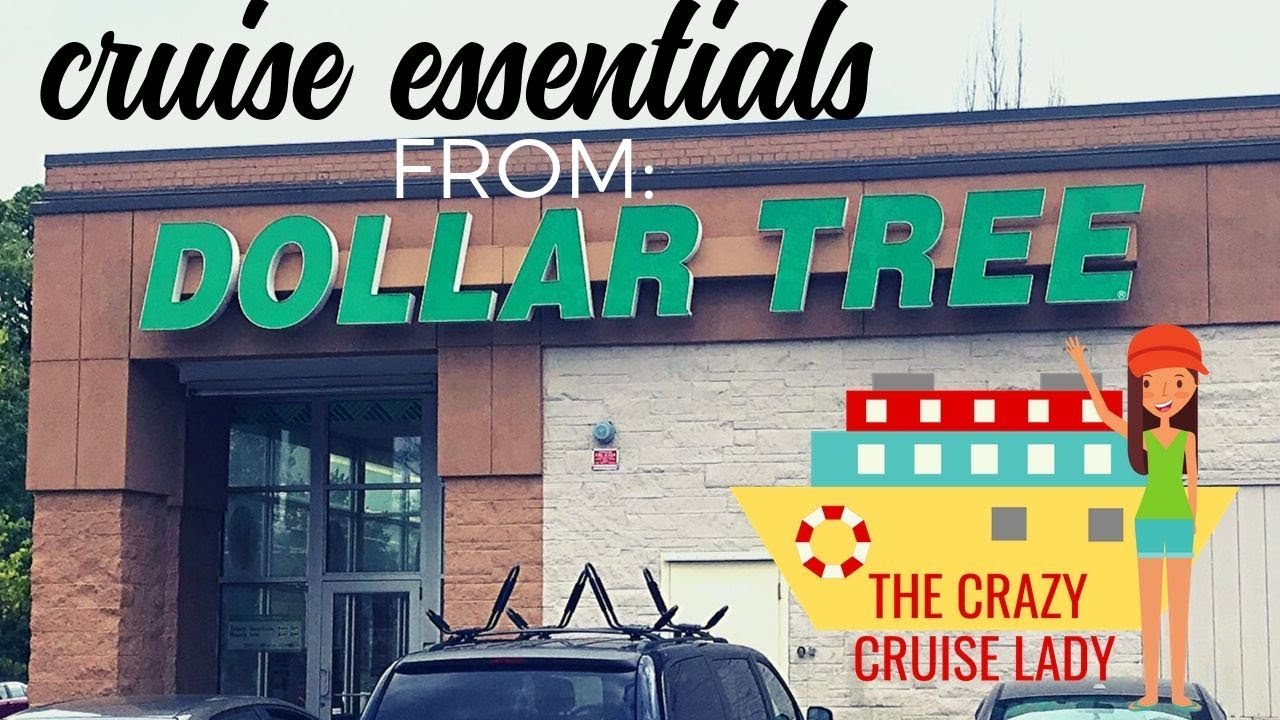 45+ Dollar Store Cruise Essentials