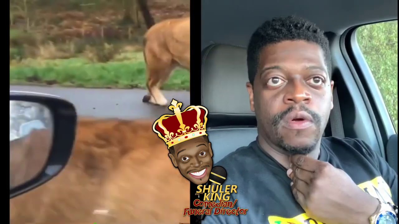 Shuler King - Why Aren’t They Driving?