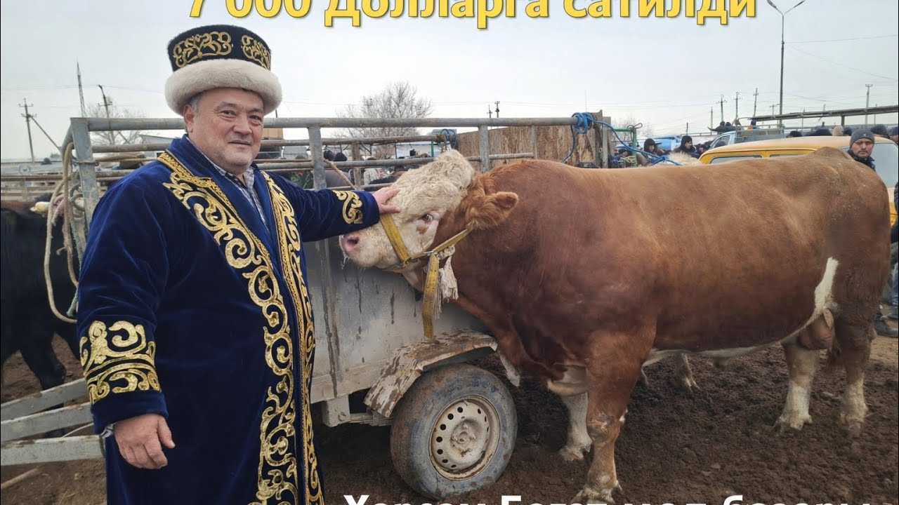 Хоразм богот мол бозор 73000000 савдо булди