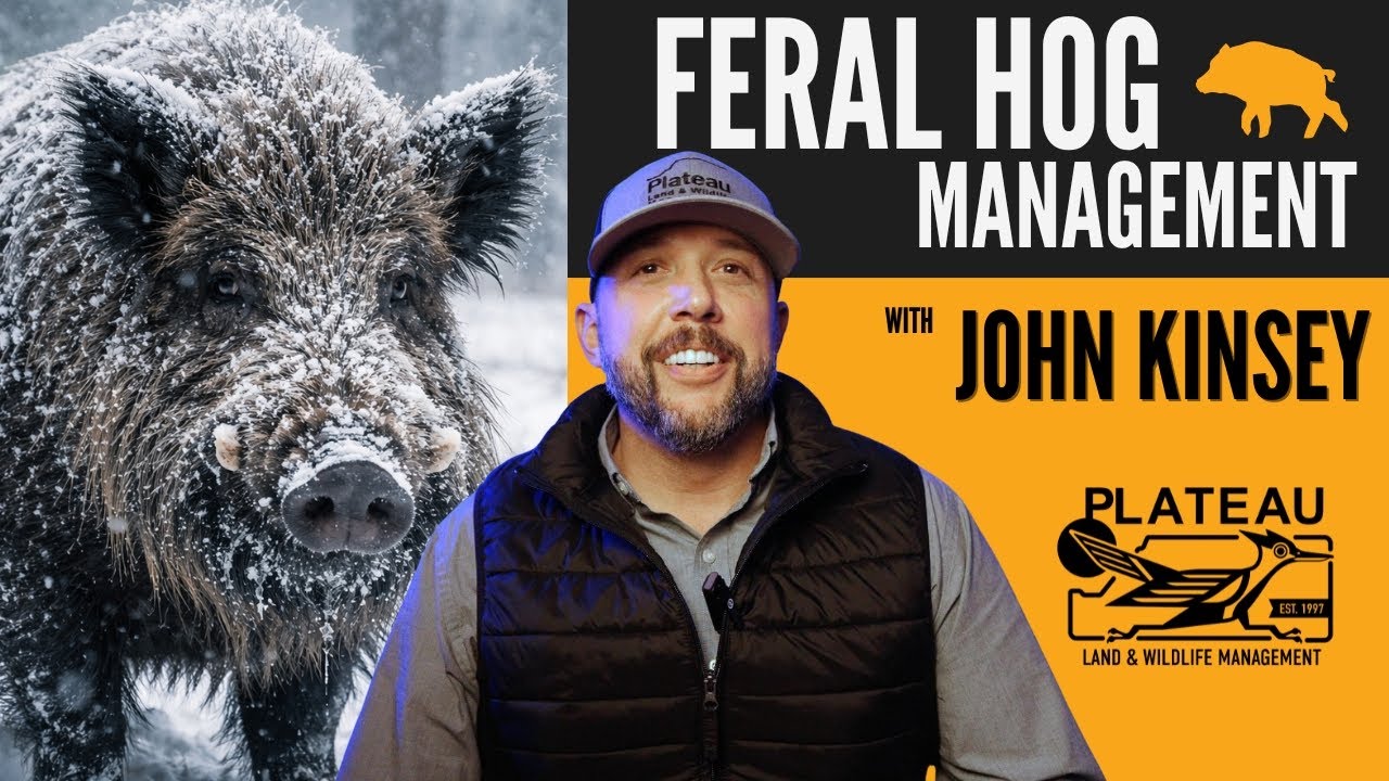 TRAP THEM NOW w/ John Kinsey