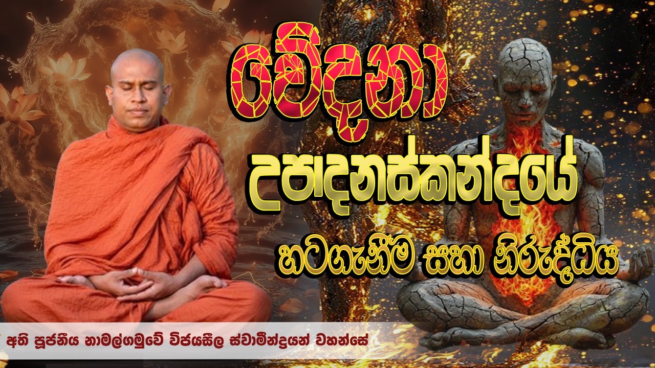 වේදනා උපාදනස්කන්දයේ හටගැනීම සහා නිරුද්ධිය │ Ven. Namalgamuwe Wijayaseela Thero │ Dharma deshana